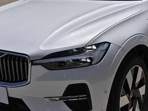 2024�� T8 ���춯 �������������ź�����