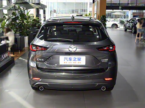 2025�� 2.0L �Զ�����������