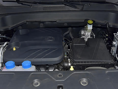 2025�� �ǻ������� 125km ������