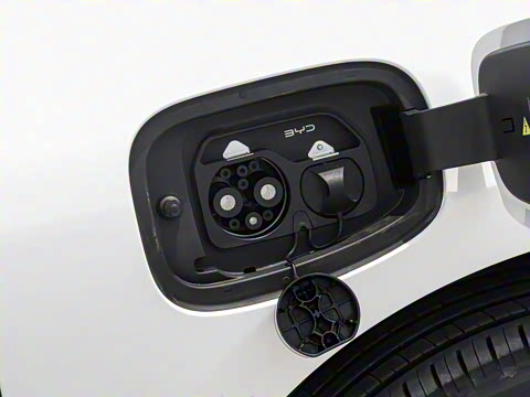 2025�� 520�ǻݰ�