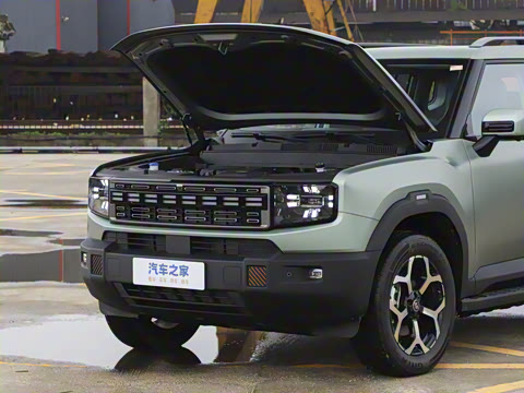 2025�� 226km ��Խ