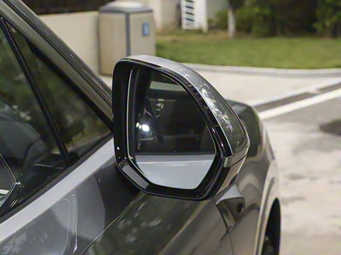 2025�� Max ������