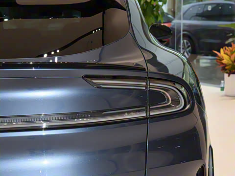 2025�� ������������������Max��