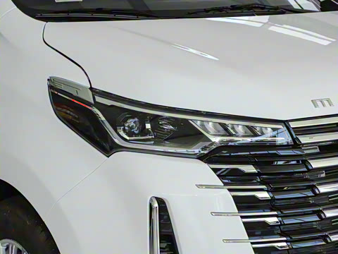 2025�� MAX 2.0T �Զ������� ���� 7��