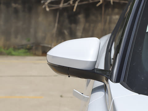 2025�� 205��������������