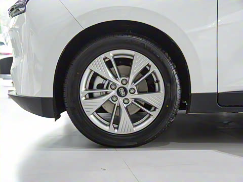 2021�� ���������