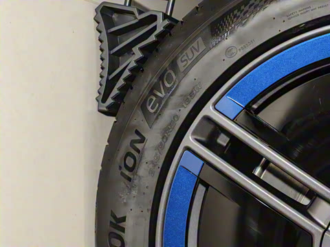 2025�� ��������������