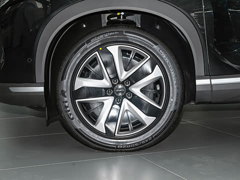 2025�� 150 �캽+��