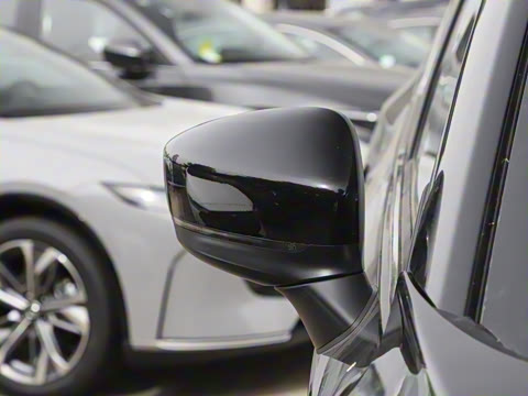 2024�� 2.0L �Զ�����������