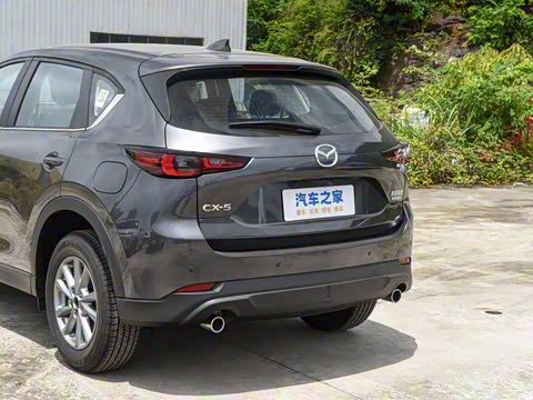 2025�� 2.0L �Զ���������Pro