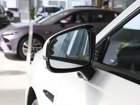 2025�� ���� 265 Pro�������ٸ�����ʻ