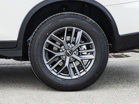 2025�� ���� 2.0L �������Ȱ�