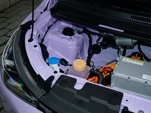 2026�� Mate 305km ����̤�˰�