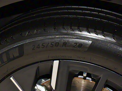 2025�� 825 Max��