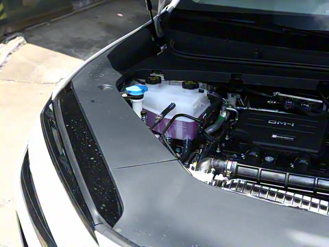 2025�� DM-i 170�캽Pro��