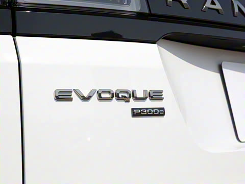 2022�� ����L P300e ���ʽ�綯��ϰ�