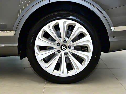 2026�� 4.0T V8 ������ŶȰ�