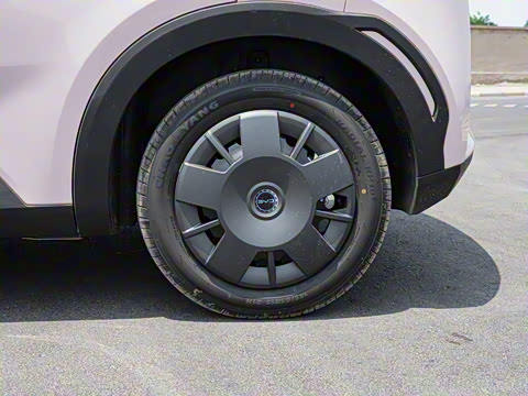 2025�� �Ǽݰ� 305km ������