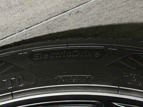 2025�� ����������