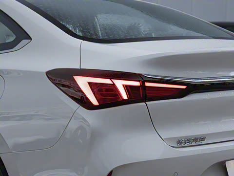 2025�� PLUS 1.5L �ֶ�������