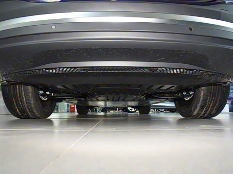 2023�� ������������