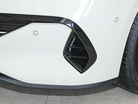 2025�� DM-i 80KM�����