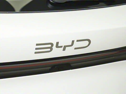 2025�� DM-i 80KM�����