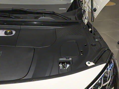 2026�� �鶯������