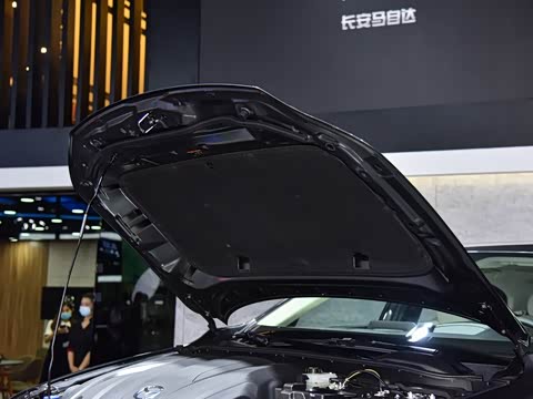 2020�� 2.0L Xѹȼ������