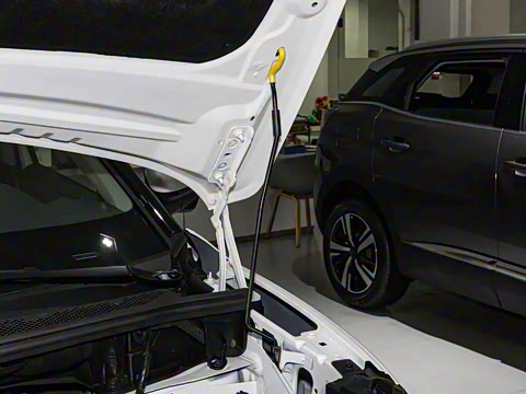 2026�� 360THP ������