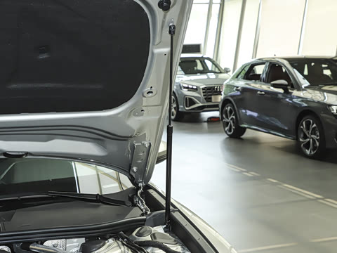 2025�� �Ŀ� 45 TFSI quattro ��ѡ������