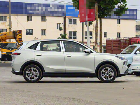 2025�� 565km ������