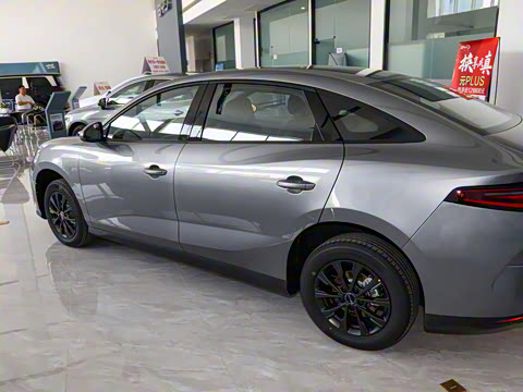 2025�� 520�ǻݰ�