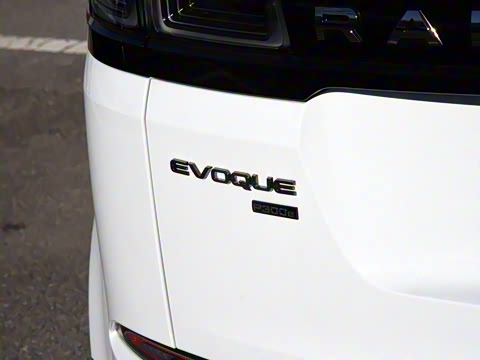 2021�� ����L P300e ������