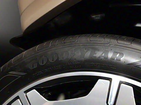 2025�� ������