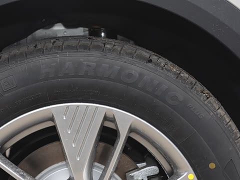 2025�� 445km ���ð�