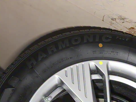 2025�� 565km ������