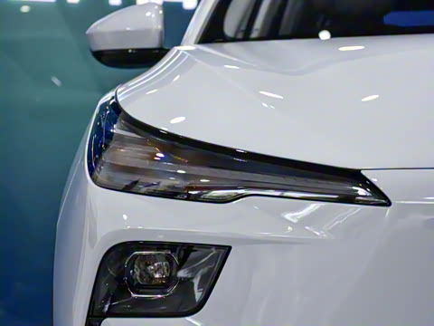 2025�� 445km ��ѡ��