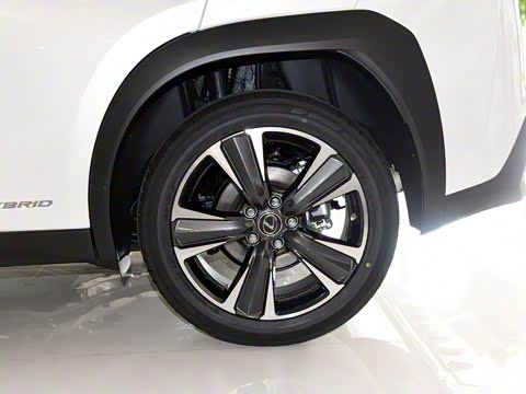 2019�� 260h ̽������ ��V