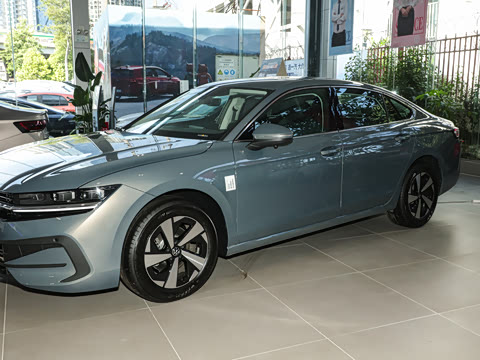 2024�� 300TSI DSG������