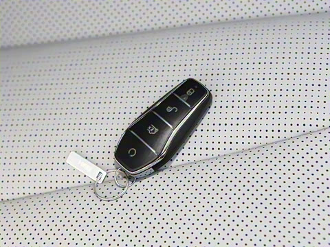 2025�� DM-i 170�캽Pro��