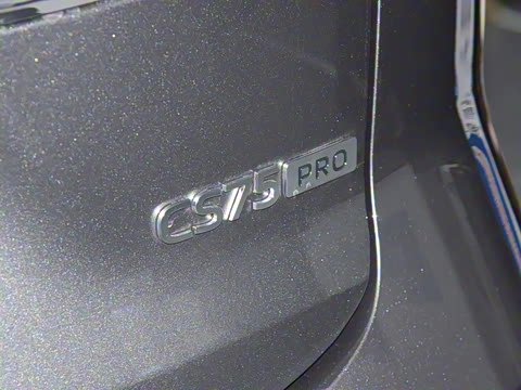 2025�� PRO 1.5T DCT ������ 7��