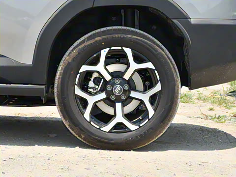 2025�� 220km ����������