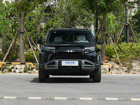 2025�� 501KM ����Max��