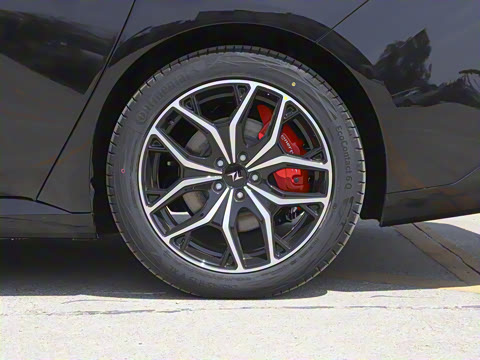 2025�� ���� 230ProѲ����