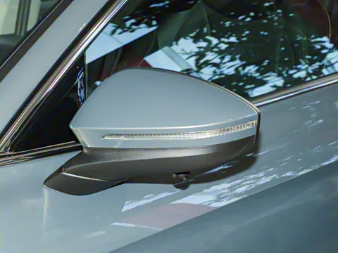 2024�� 300TSI DSG������