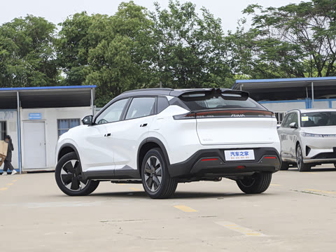 2025�� 205��������������