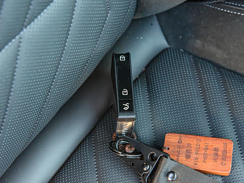 2021�� 2.0T PHEV Halo ����