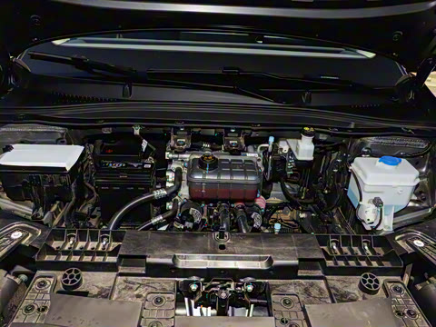 2025�� 650�����״��