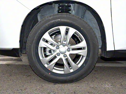 2023�� PLUS 1.5T DCT��Ӣ������